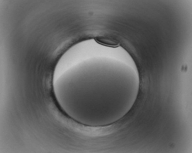 X0000111640023200908141418