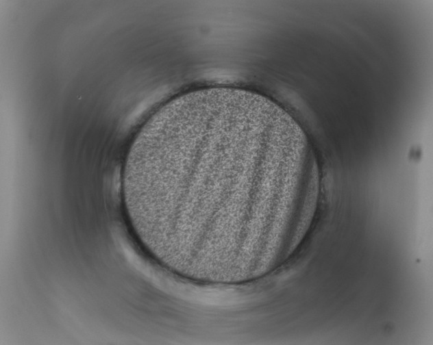 X0000111640024200908141418