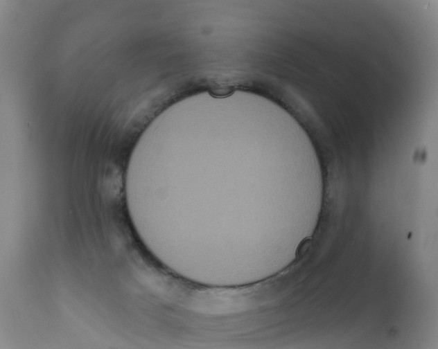 X0000111640025200908141418