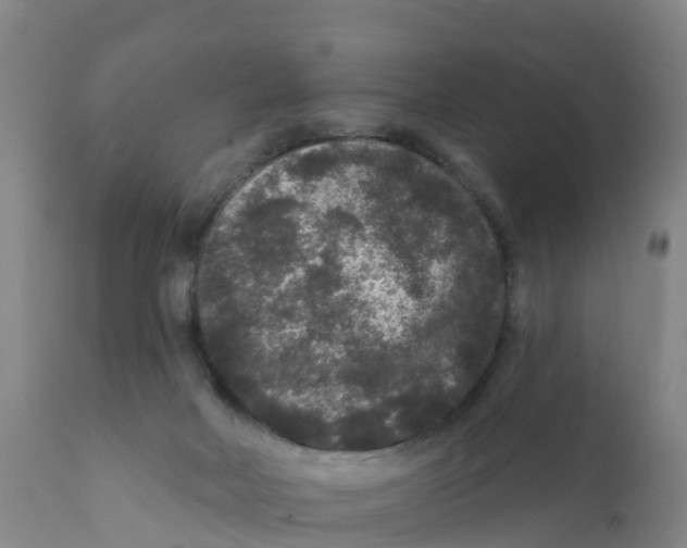 X0000111640026200908141418