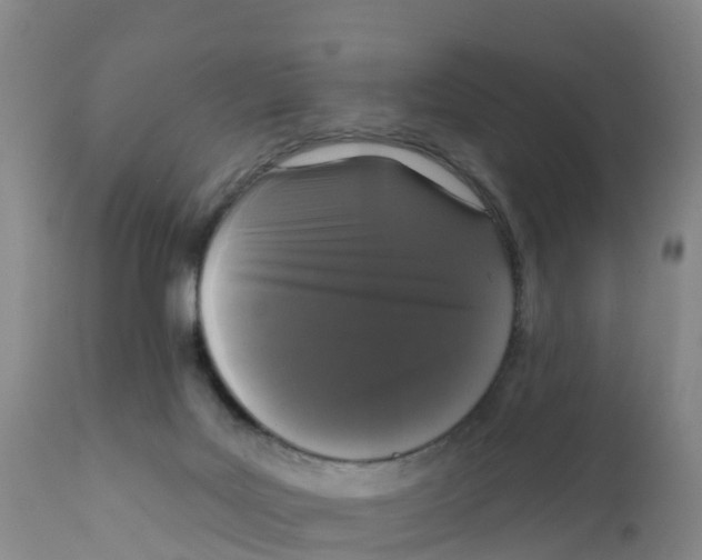 X0000111640027200908141418