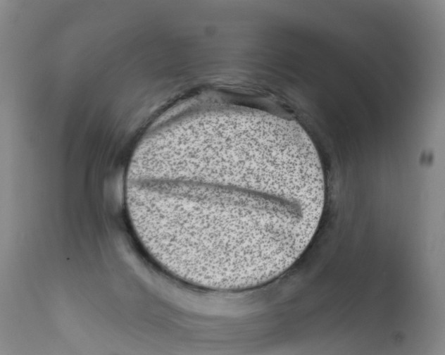 X0000111640028200908141418
