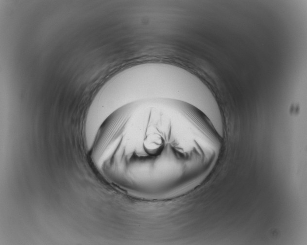 X0000111640029200908141418