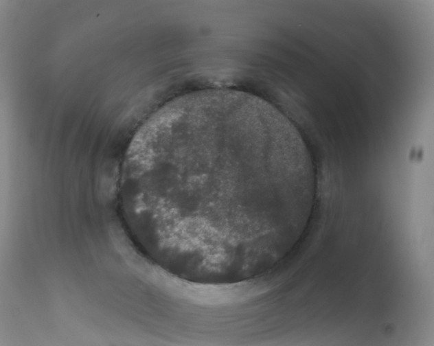 X0000111640030200908141418