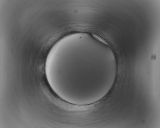X0000111640031200908141418