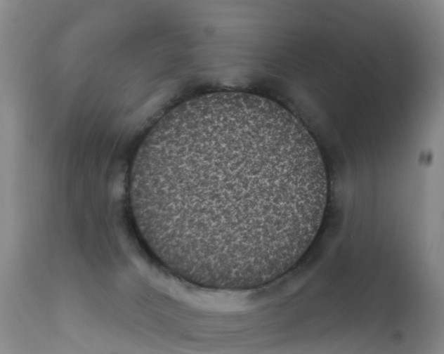X0000111640032200908141418