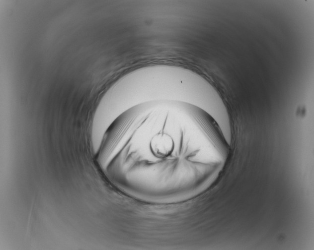 X0000111640033200908141418