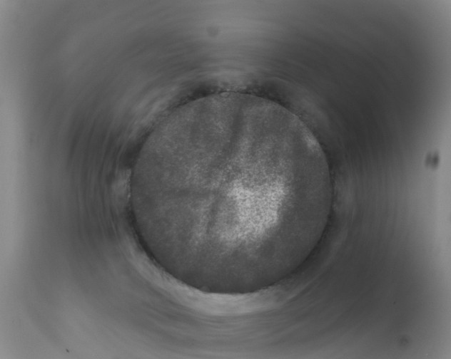 X0000111640034200908141418