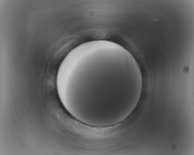 X0000111640035200908141418