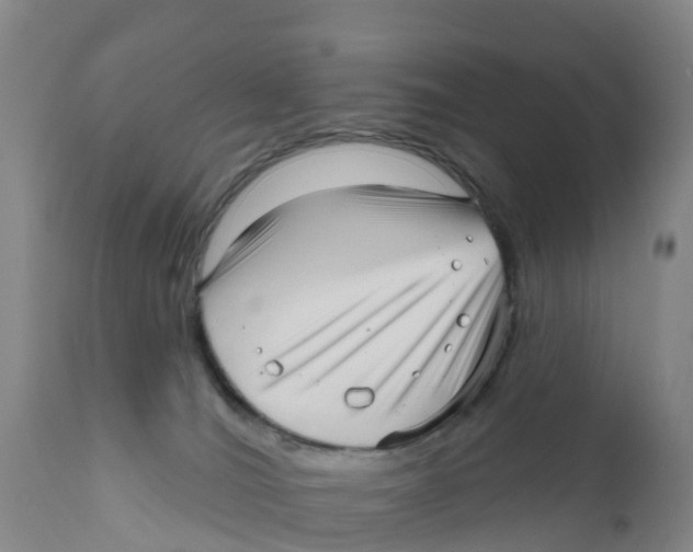 X0000111640036200908141418