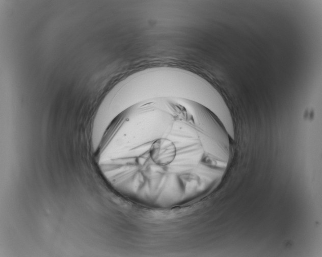 X0000111640037200908141418