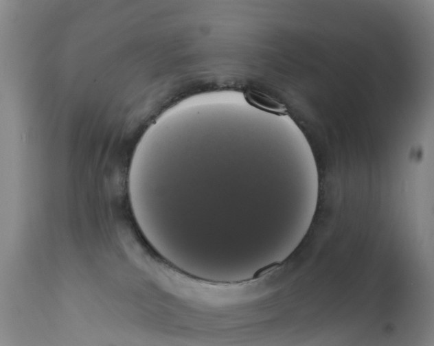 X0000111640039200908141418