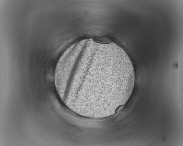 X0000111640040200908141418