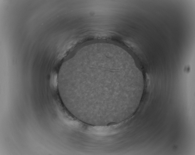 X0000111640041200908141418