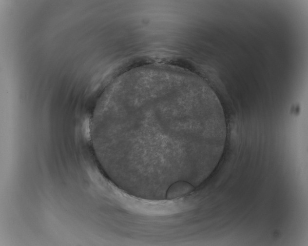 X0000111640042200908141418