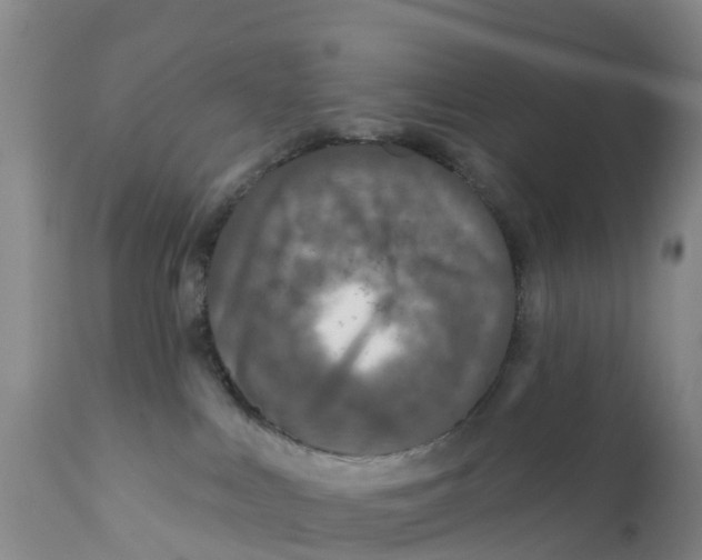 X0000111640043200908141418