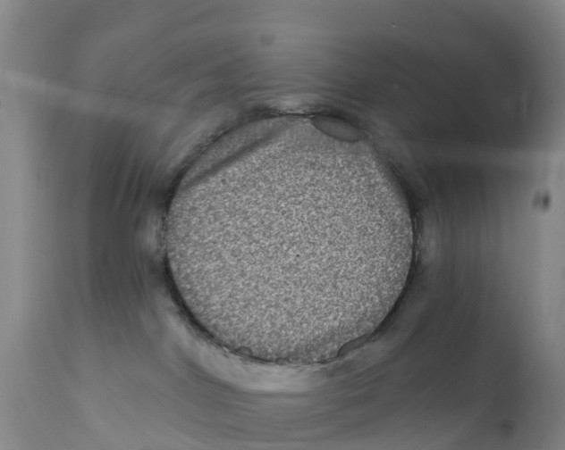 X0000111640044200908141418