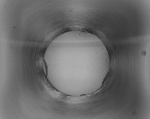 X0000111640045200908141418