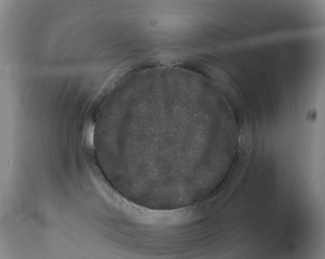 X0000111640046200908141418