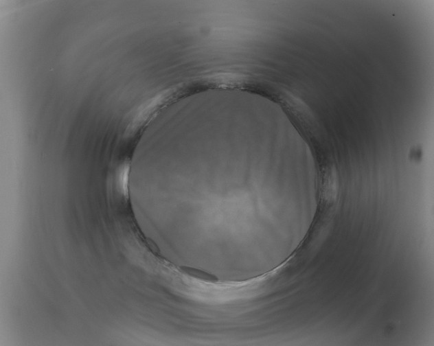 X0000111640047200908141418