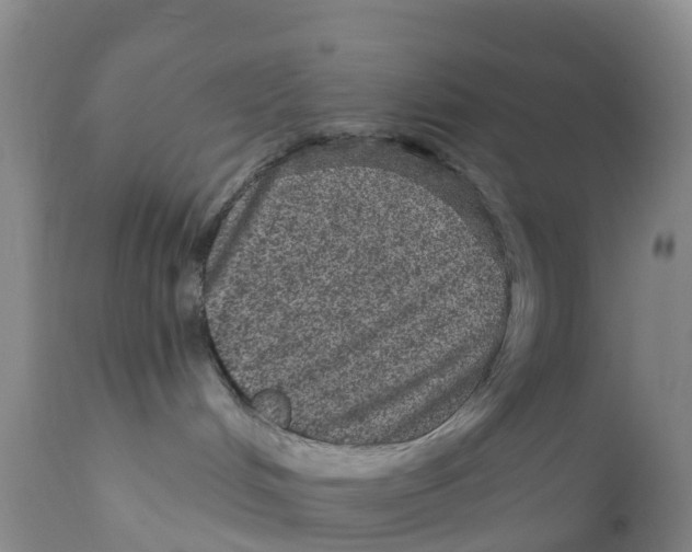 X0000111640048200908141418