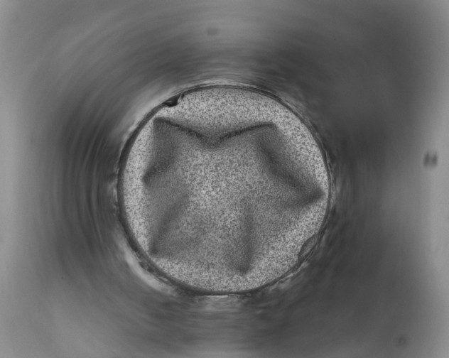 X0000111640050200908141417