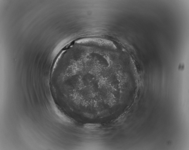 X0000111640051200908141417