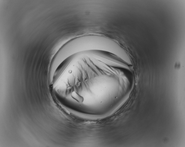 X0000111640052200908141417