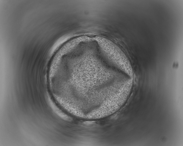 X0000111640054200908141417
