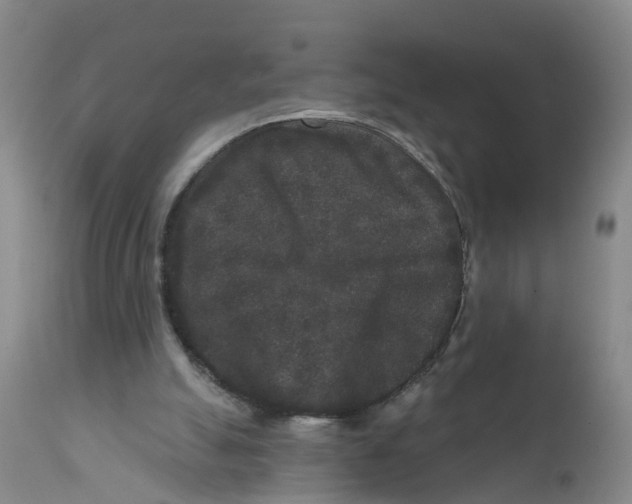 X0000111640055200908141417