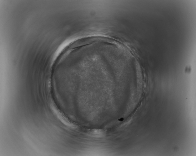 X0000111640056200908141417