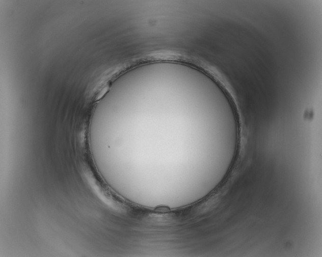 X0000111640057200908141417