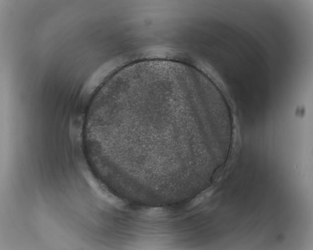 X0000111640058200908141417