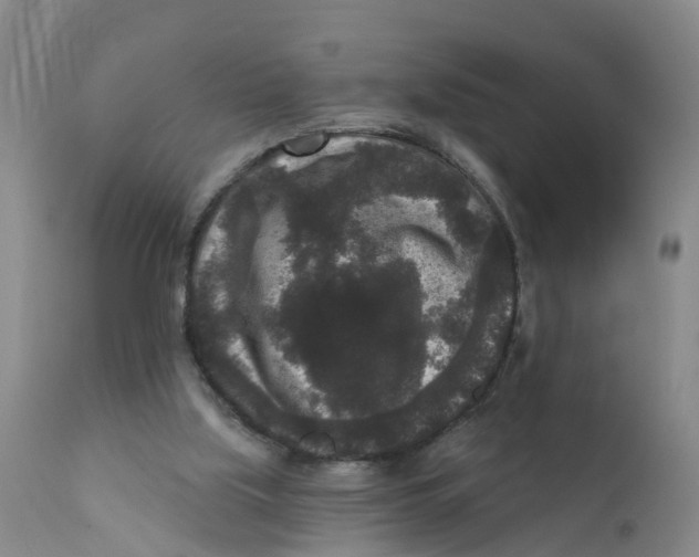 X0000111640059200908141417