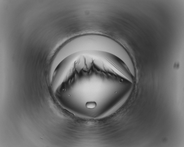 X0000111640060200908141417