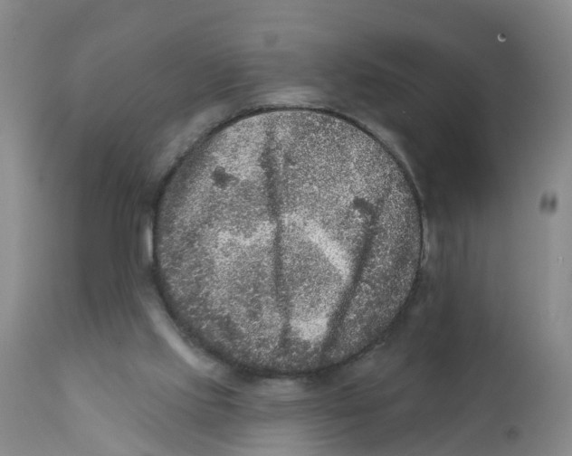 X0000111640061200908141417