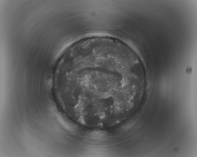 X0000111640063200908141417