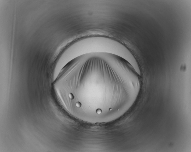X0000111640064200908141417