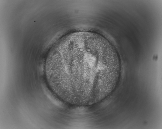 X0000111640065200908141417