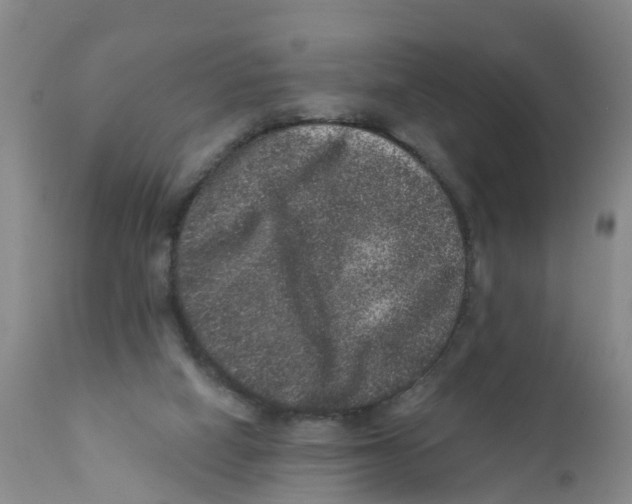 X0000111640066200908141417