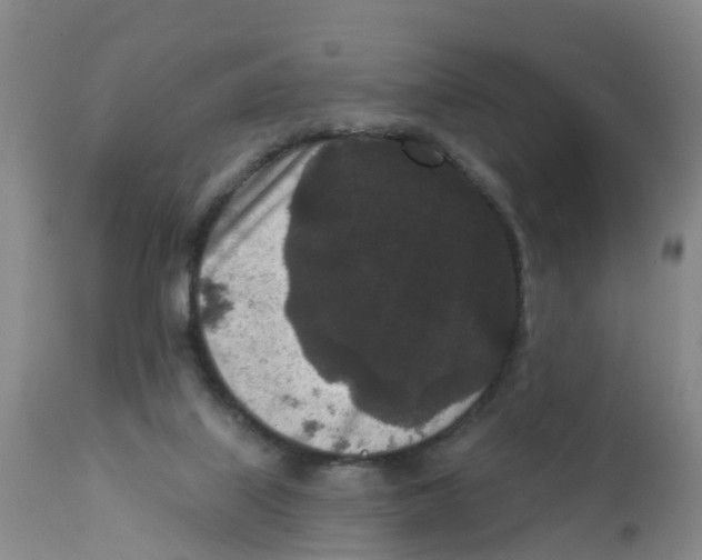X0000111640067200908141417