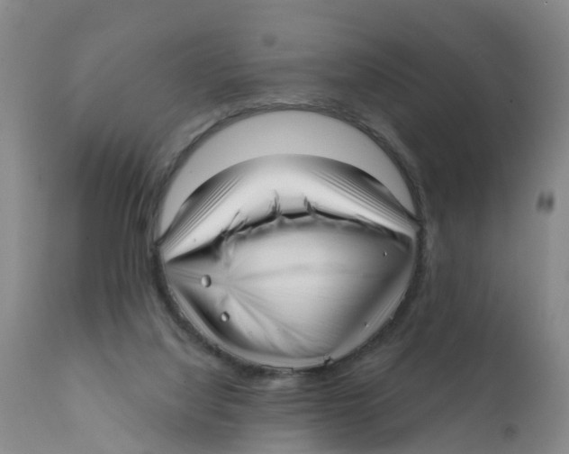 X0000111640068200908141417