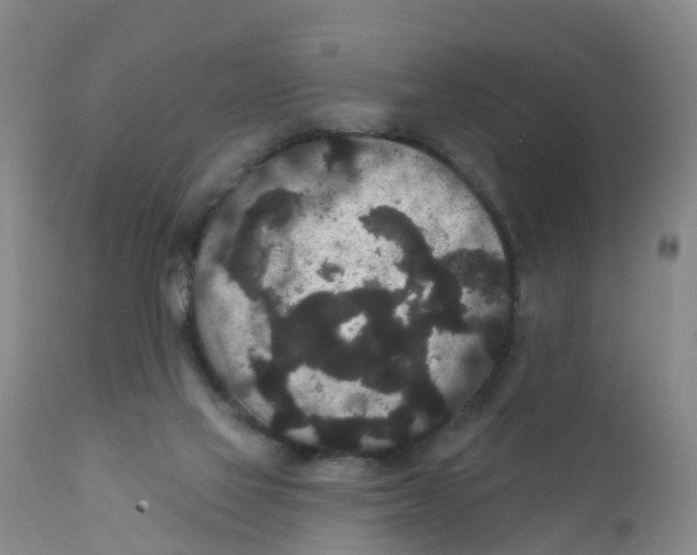 X0000111640069200908141417