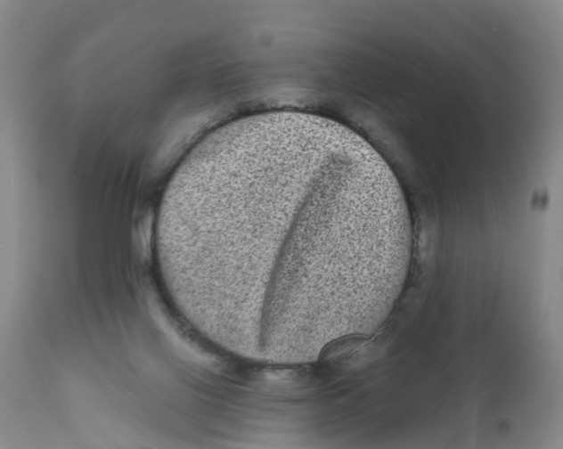 X0000111640070200908141417