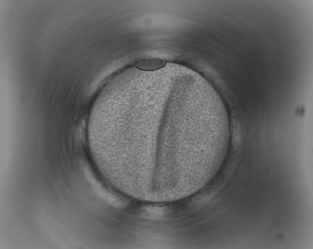 X0000111640071200908141417