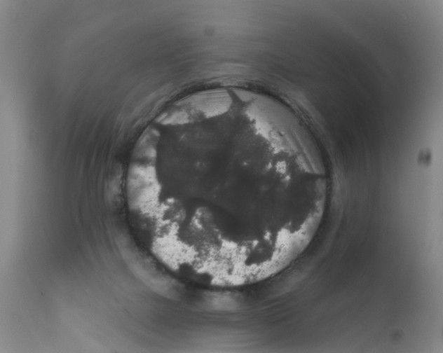 X0000111640073200908141417