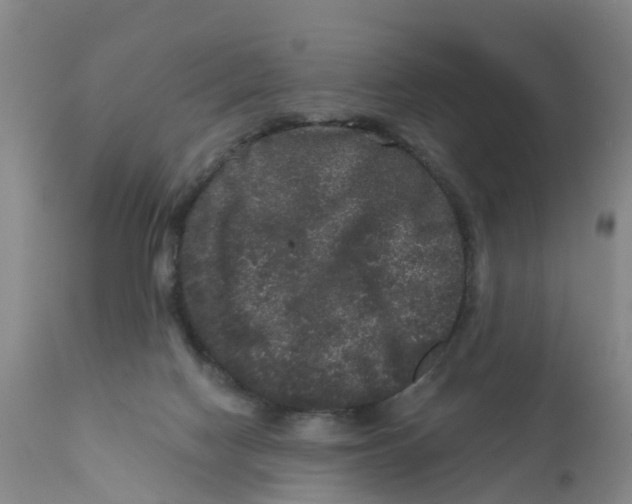 X0000111640074200908141417
