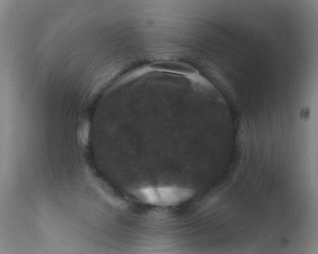 X0000111640076200908141417