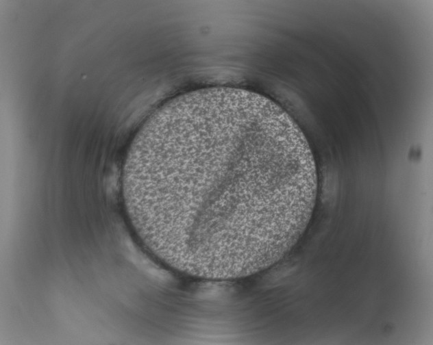 X0000111640077200908141417