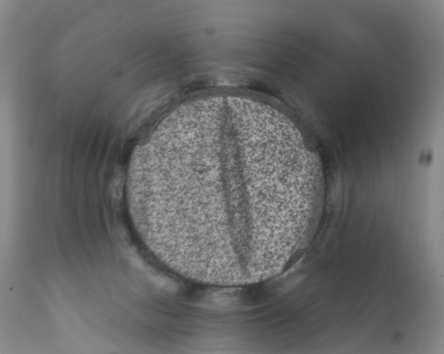X0000111640078200908141417